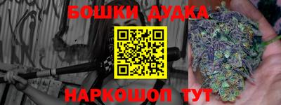 гашик Владимир