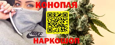 гашик Владимир