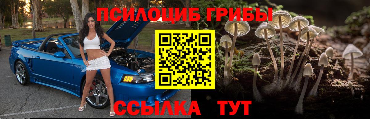 Псилоцибиновые грибы мухоморы  Вход с VPN  купить наркотик  Благодарный 